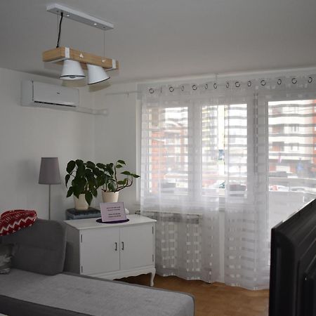 Apartman Milicevic SJJ Esterno foto